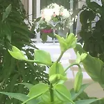 Femily Di Puglia In - Bari ベッド・アンド・ブレックファスト