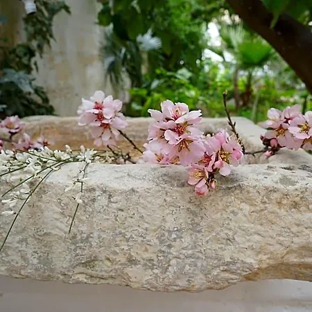 Femily Di Puglia In - Bari B&B Grumo Appula