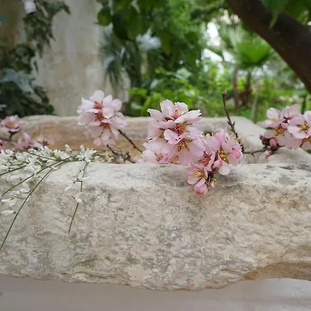 Femily Di Puglia In - Bari Bed & Breakfast 3*