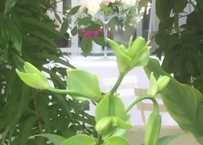 Femily Di Puglia In - Bari Bed and Breakfast
